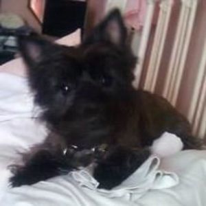 Meet your Posher, Judy